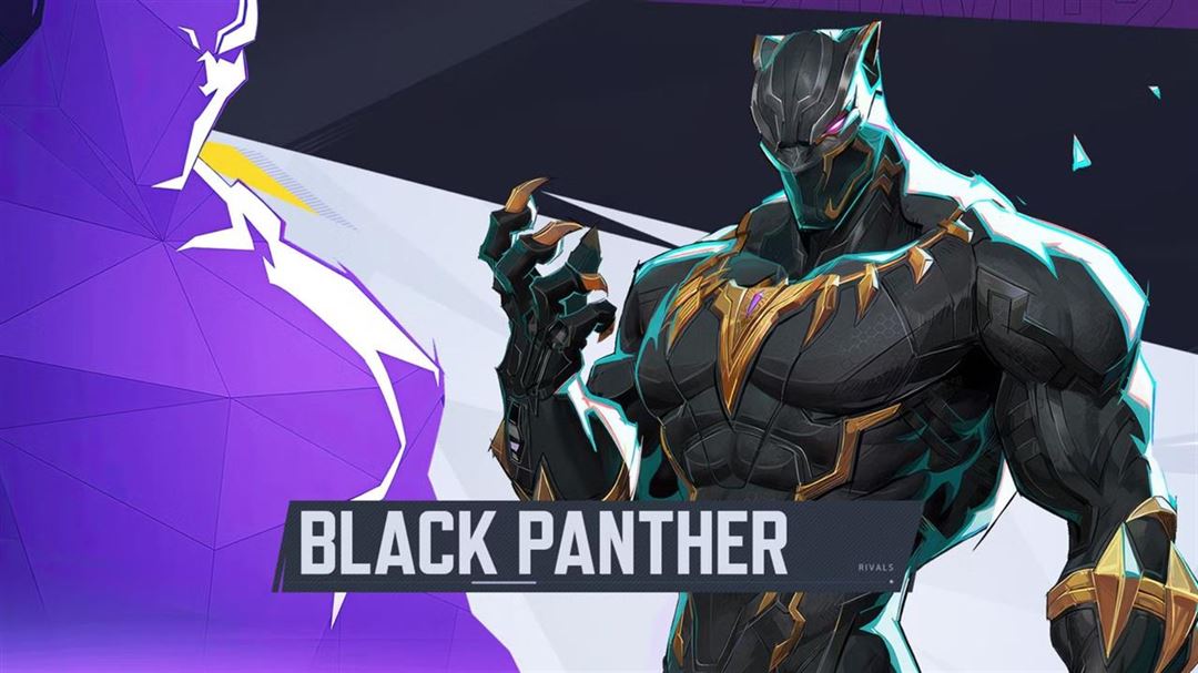 Introducing the black panther in marvel rivals